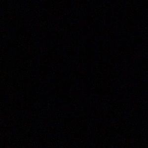 Meet your Posher, Delaney